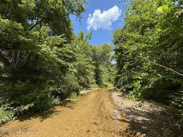 8± Acres in McCall Creek, MS with Creek Frontage