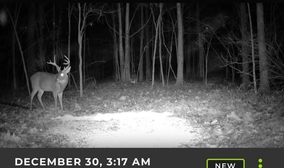 Flora Mississippi 78+- Acres for Sale