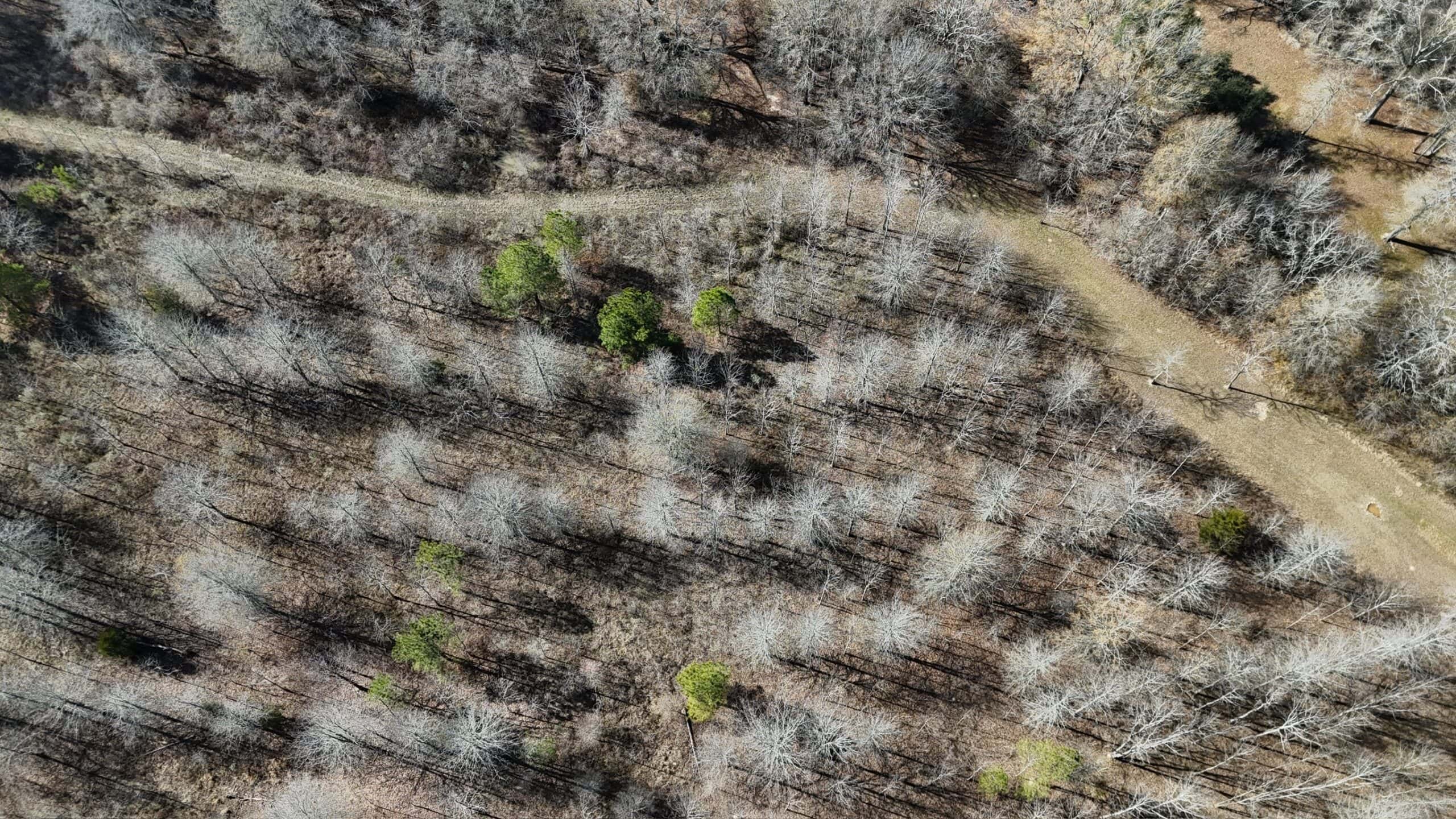 Duck and Deer Hunting Land with a Camp Spot for Sale