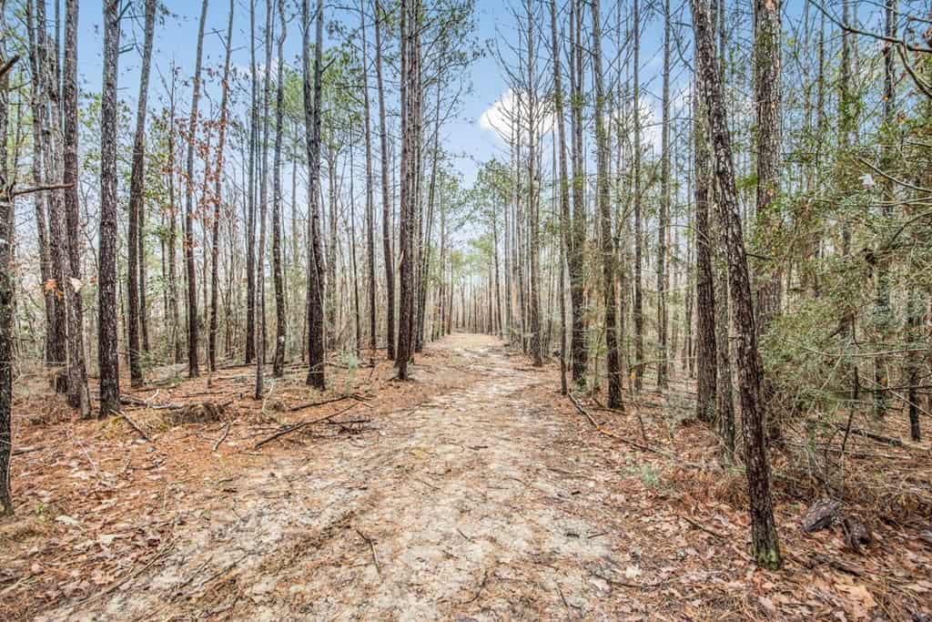 100 Acres in West Feliciana with 2 Bed/1 Bath Camp