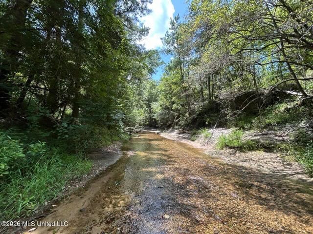 8± Acres in McCall Creek, MS with Creek Frontage