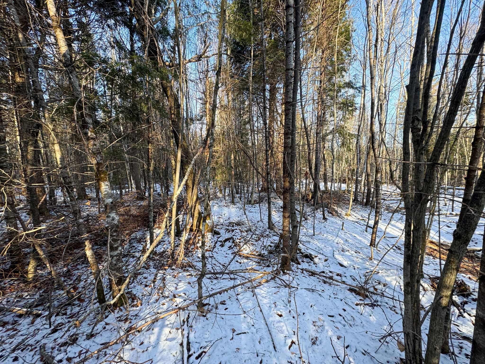 40 Acre Retreat Surrounded by The Downeast Lakes