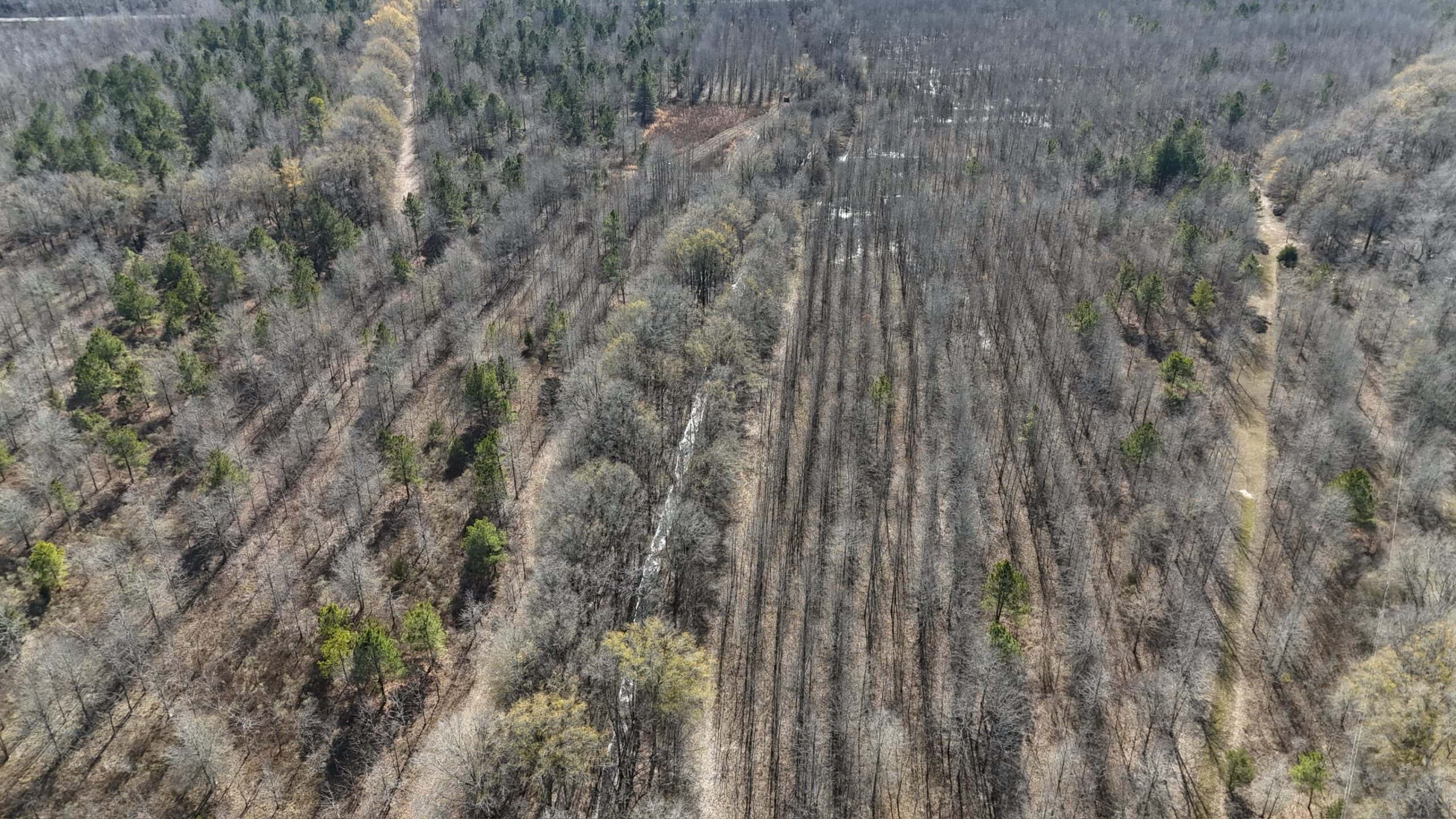 Duck and Deer Hunting Land with a Camp Spot for Sale