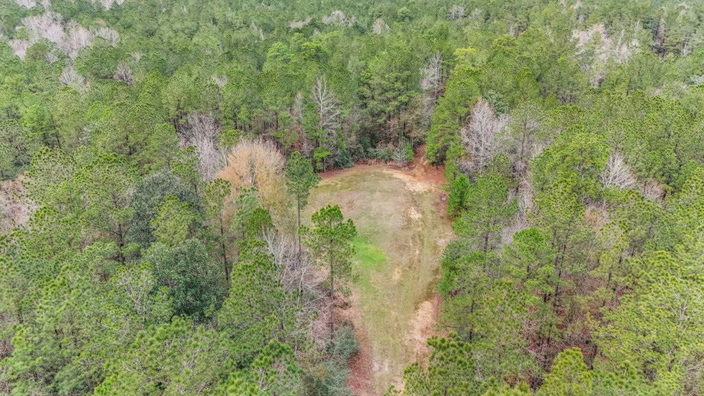 100 Acres in West Feliciana with 2 Bed/1 Bath Camp