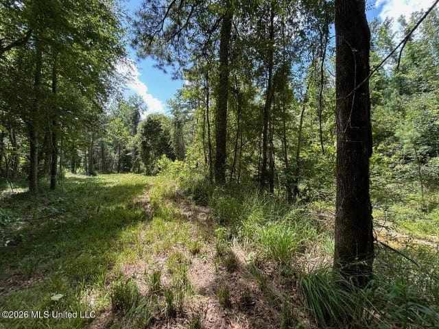 8± Acres in McCall Creek, MS with Creek Frontage