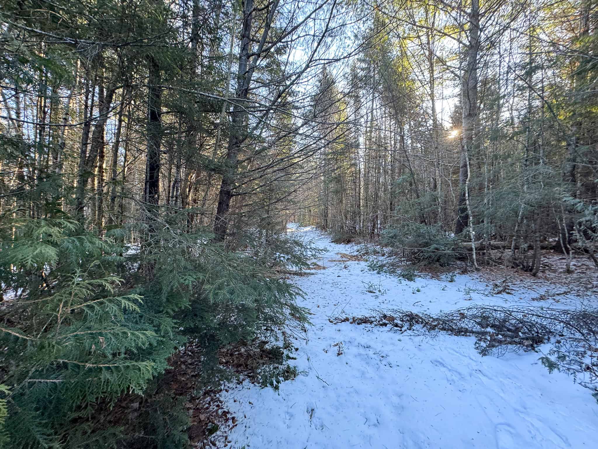40 Acre Retreat Surrounded by The Downeast Lakes
