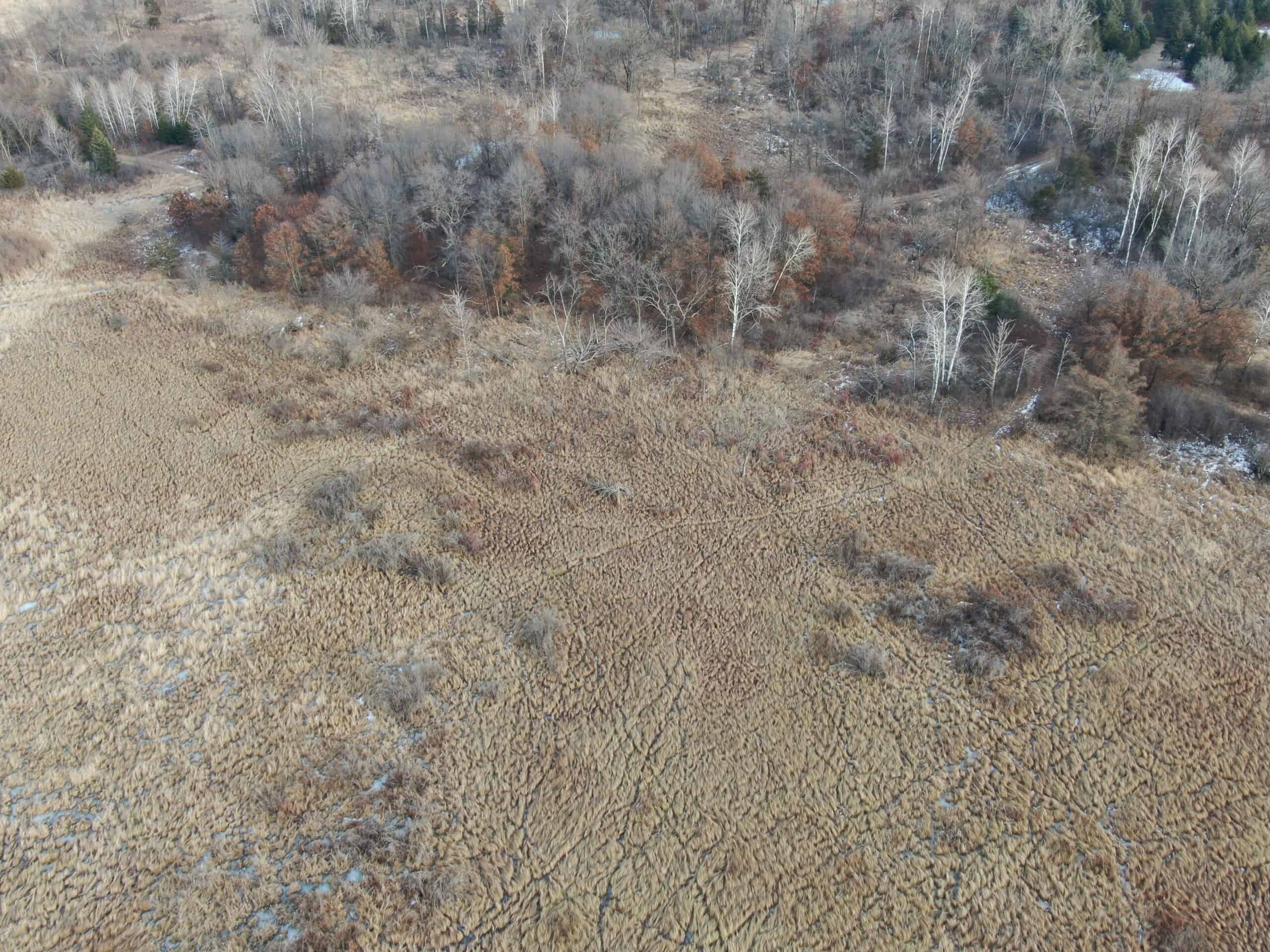 53 acre proven hunting property in Marquette County WI