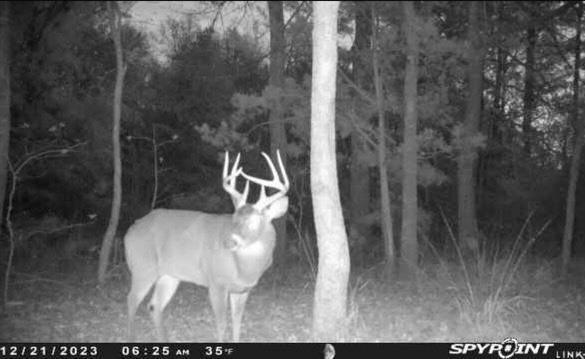 Flora Mississippi 78+- Acres for Sale
