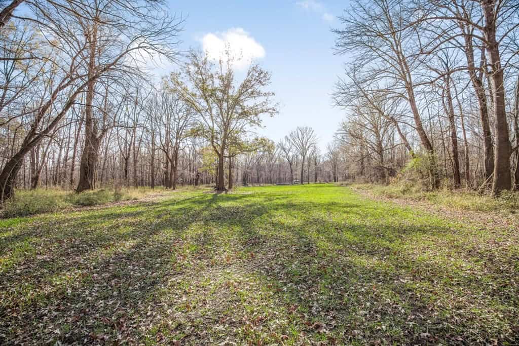 Hunting Land for Sale in The MS Delta