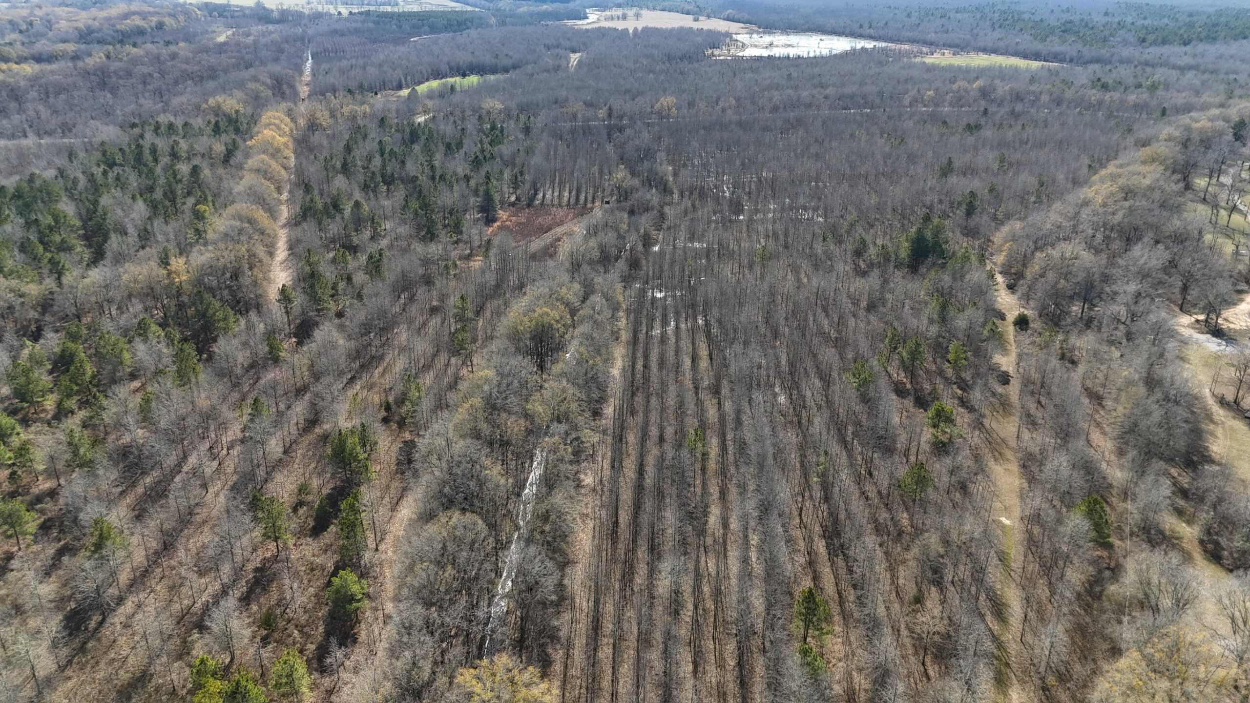 Duck and Deer Hunting Land with a Camp Spot for Sale