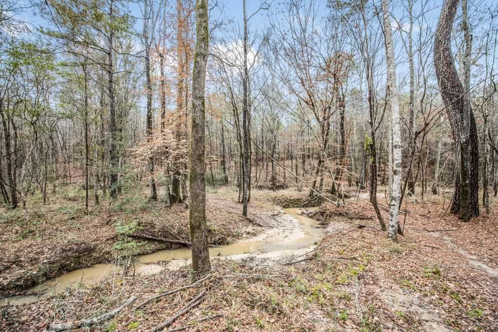 100 Acres in West Feliciana with 2 Bed/1 Bath Camp