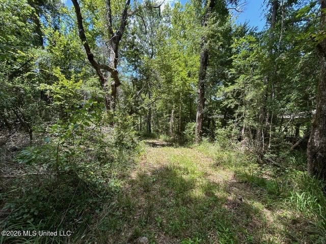 8± Acres in McCall Creek, MS with Creek Frontage