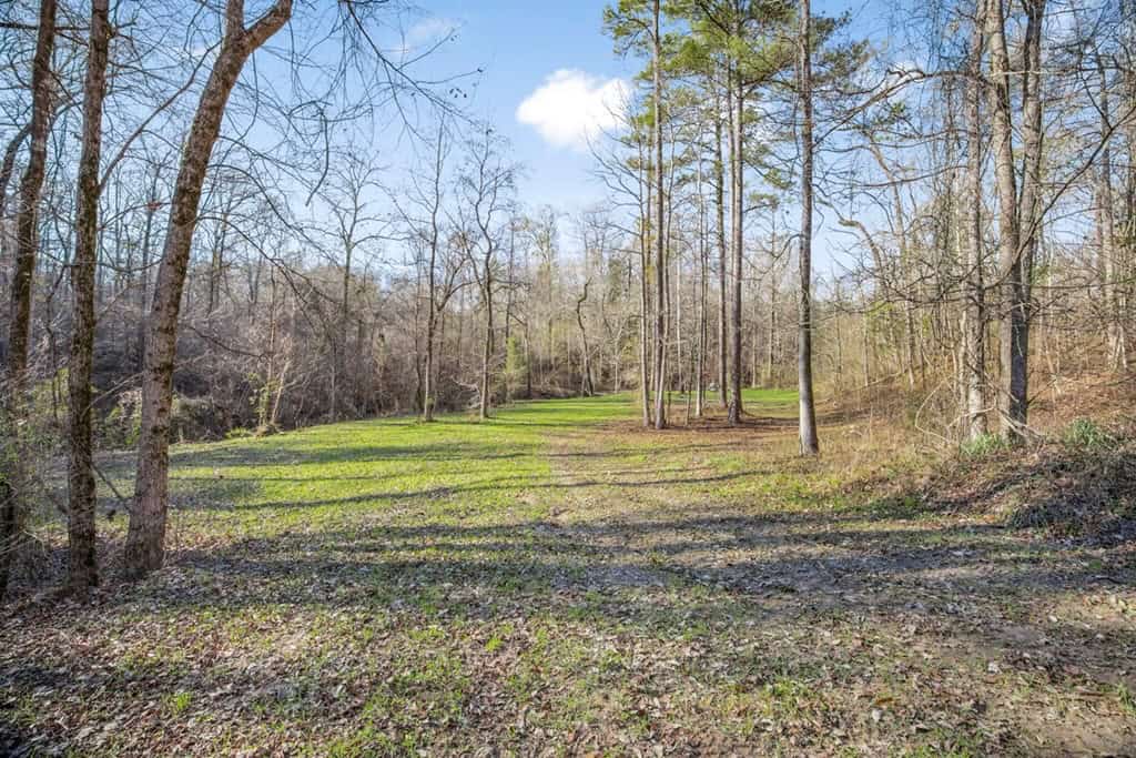Hunting Land for Sale in The MS Delta