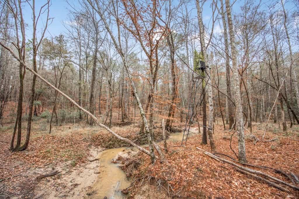 100 Acres in West Feliciana with 2 Bed/1 Bath Camp