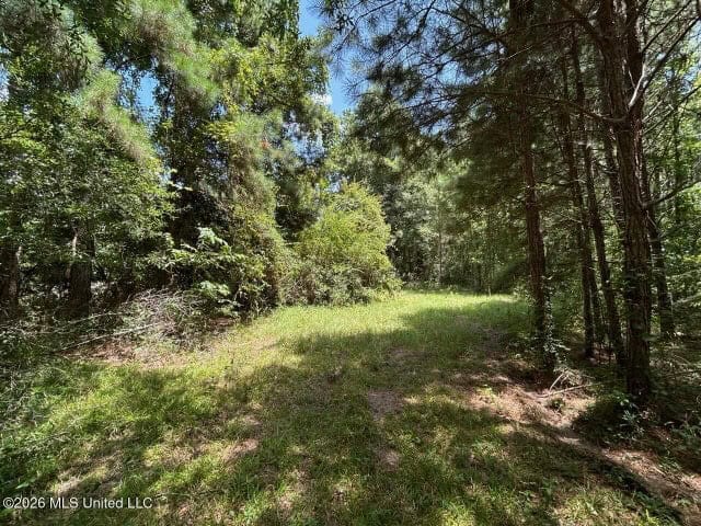 8± Acres in McCall Creek, MS with Creek Frontage