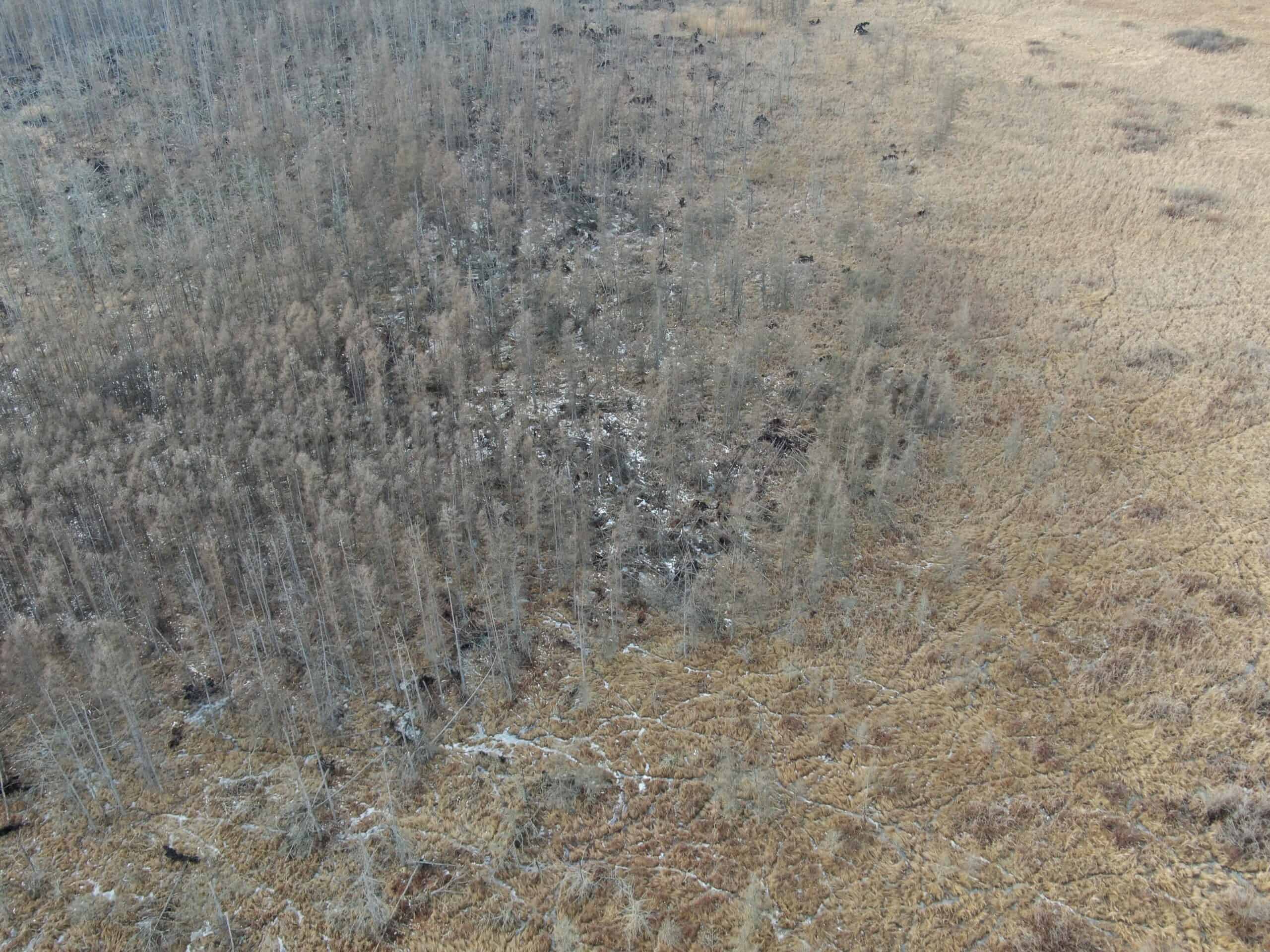 53 acre proven hunting property in Marquette County WI