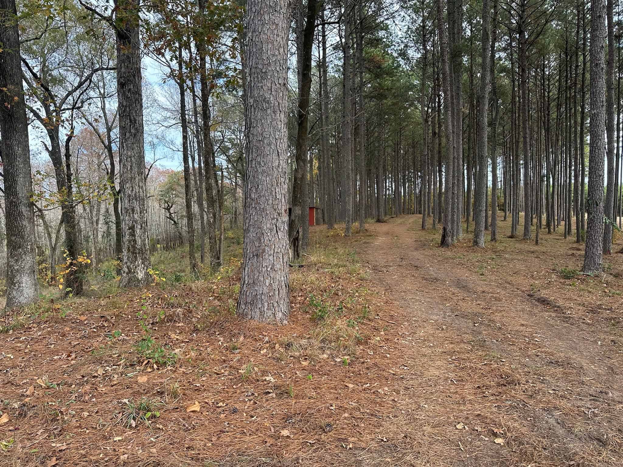 4 Bed 3 Bath House on 125 Acres for Sale In Lasalle Parish
