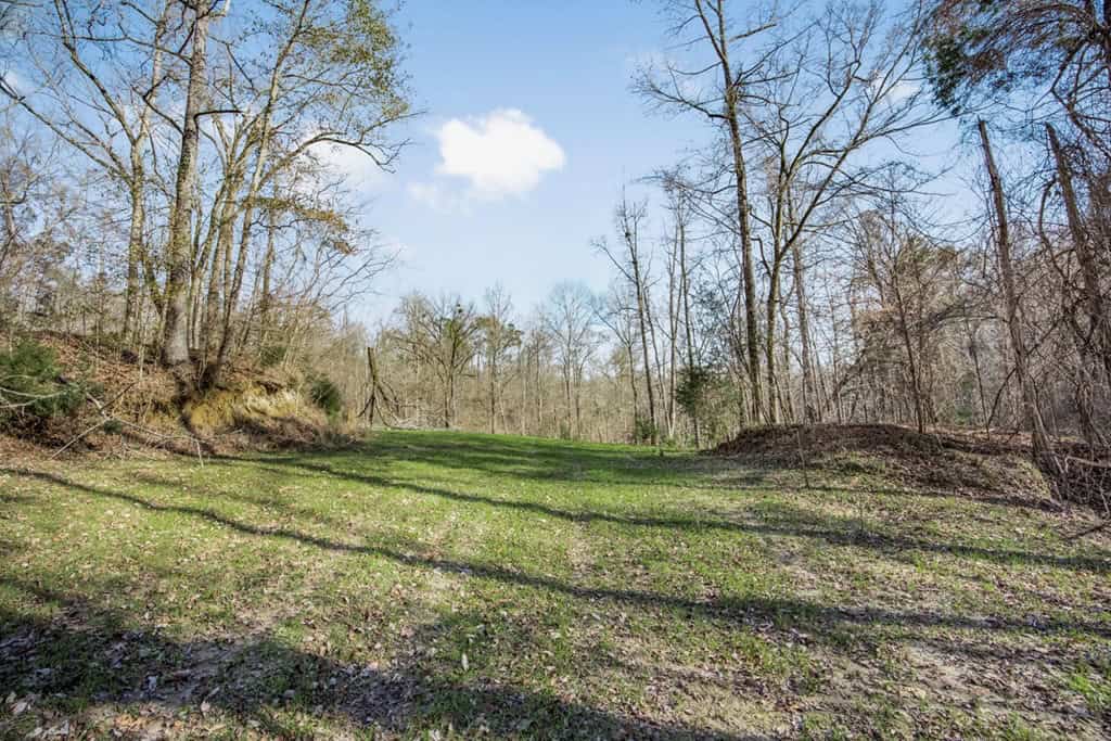 Hunting Land for Sale in The MS Delta