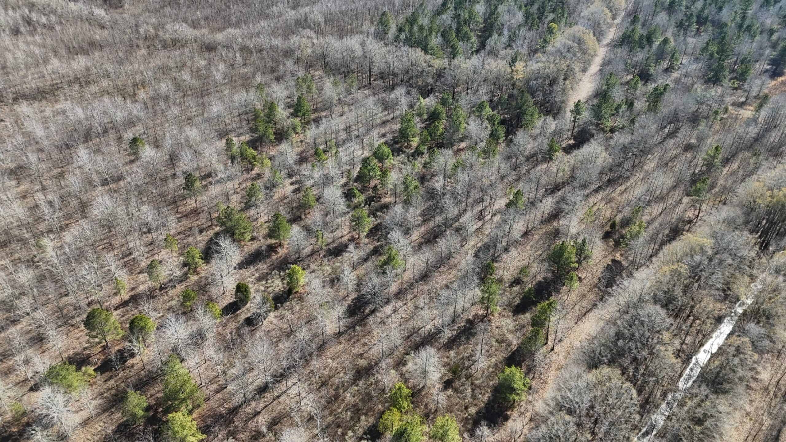 Duck and Deer Hunting Land with a Camp Spot for Sale