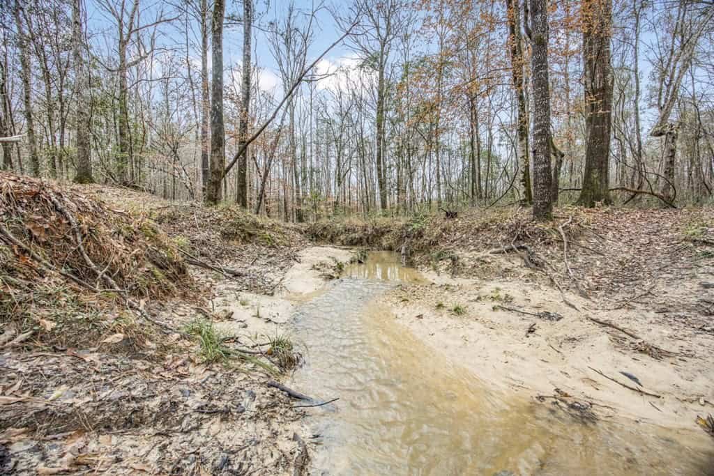 100 Acres in West Feliciana with 2 Bed/1 Bath Camp