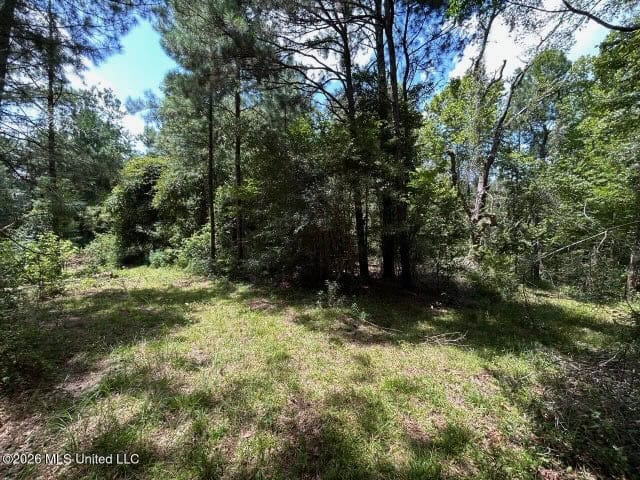 8± Acres in McCall Creek, MS with Creek Frontage