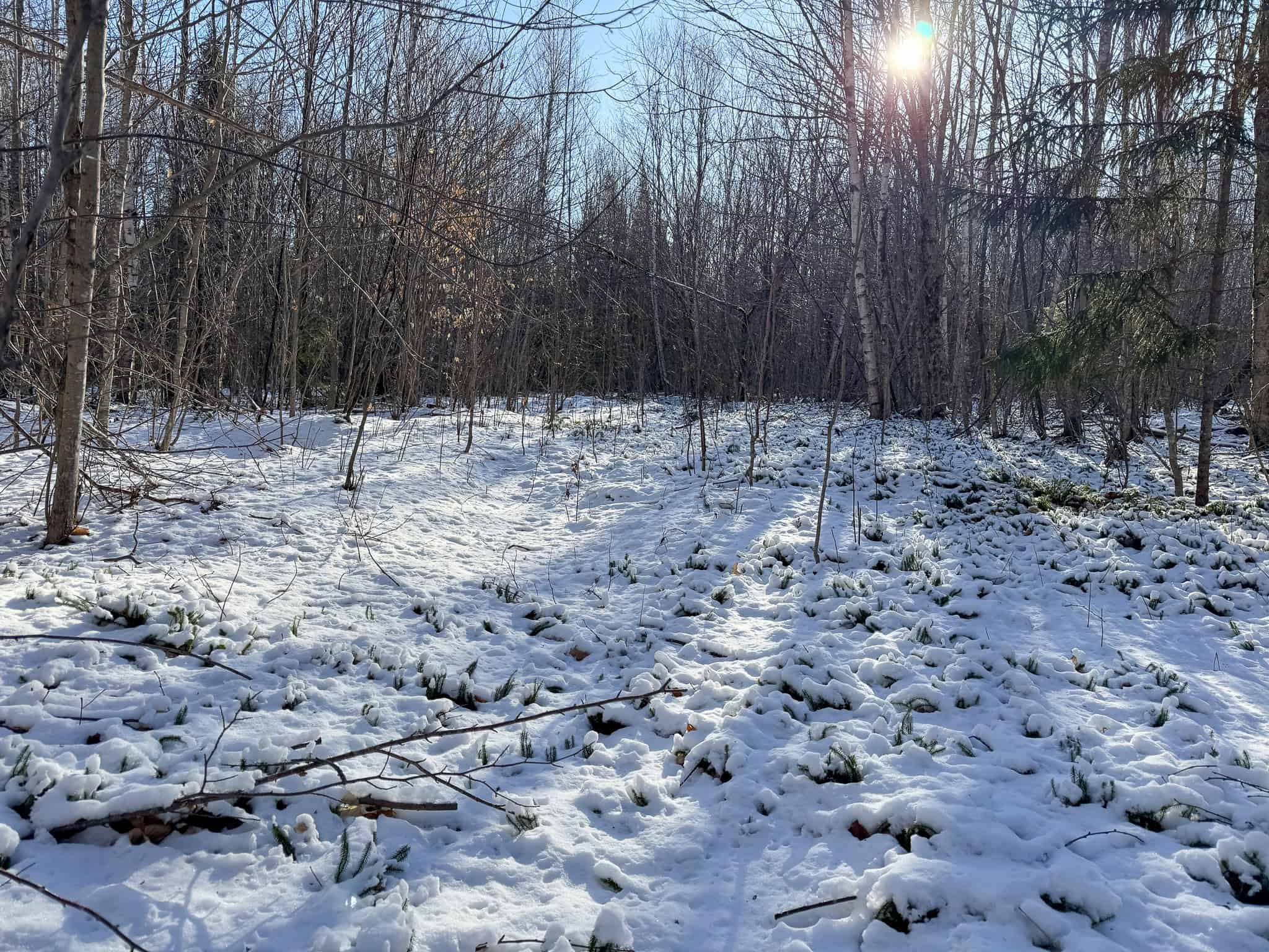 40 Acre Retreat Surrounded by The Downeast Lakes