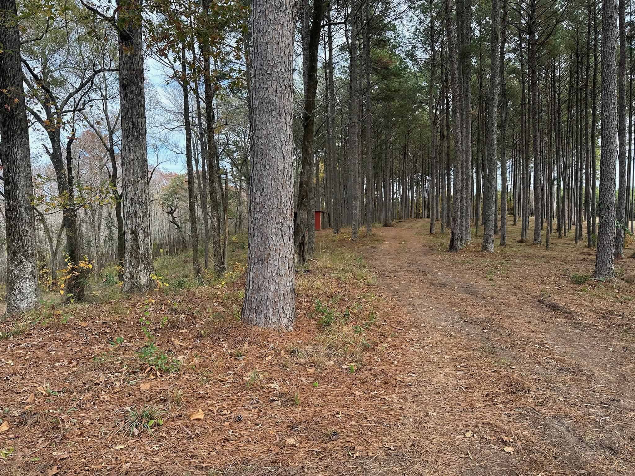 4 Bed 3 Bath Home on 45 Acres for Sale in Lasalle Parish