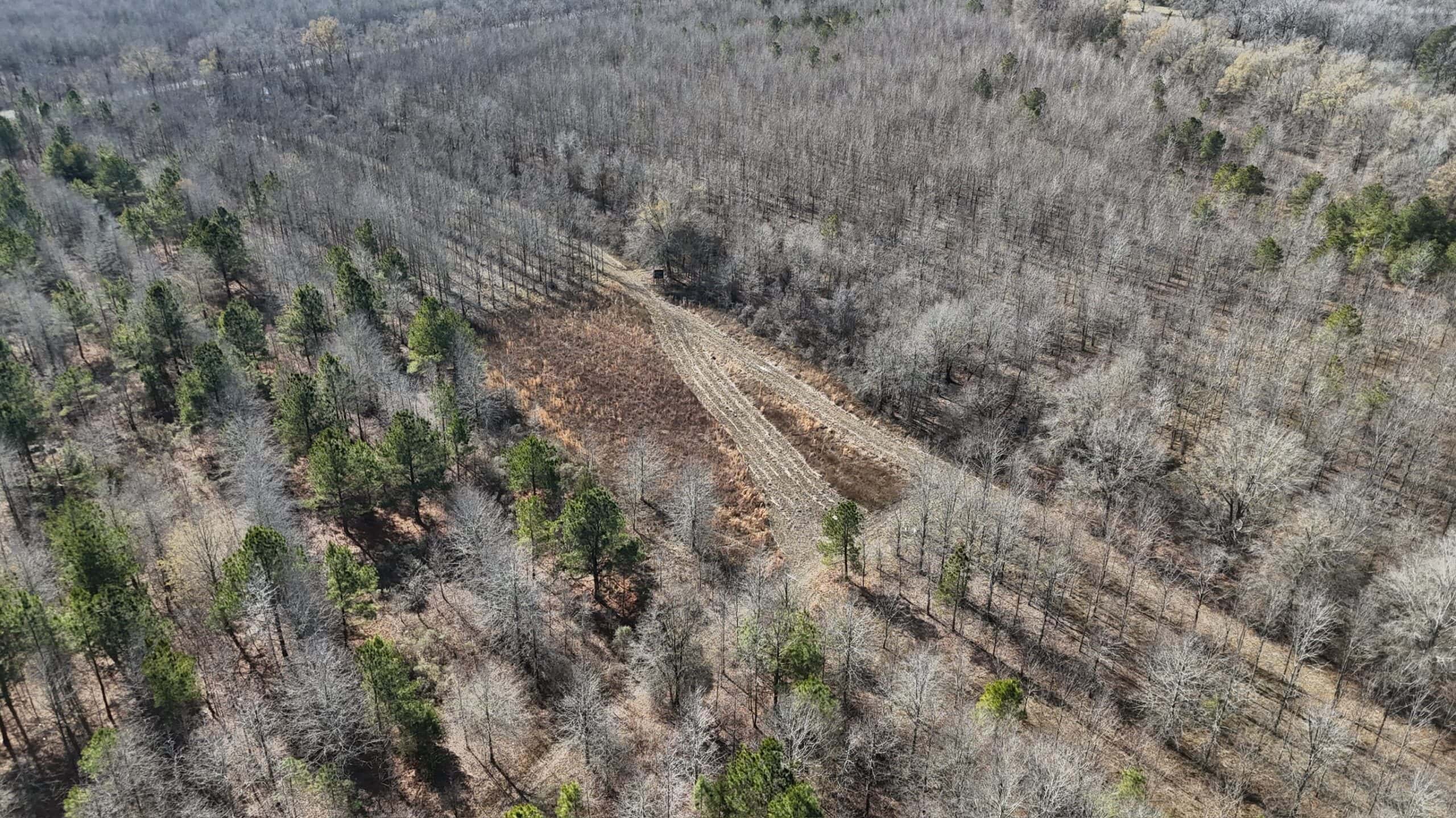 Duck and Deer Hunting Land with a Camp Spot for Sale