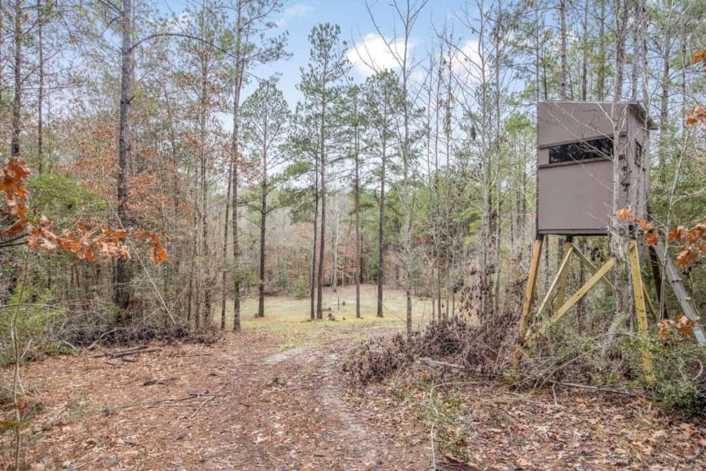 100 Acres in West Feliciana with 2 Bed/1 Bath Camp