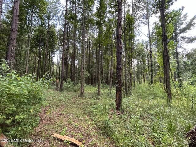 8± Acres in McCall Creek, MS with Creek Frontage