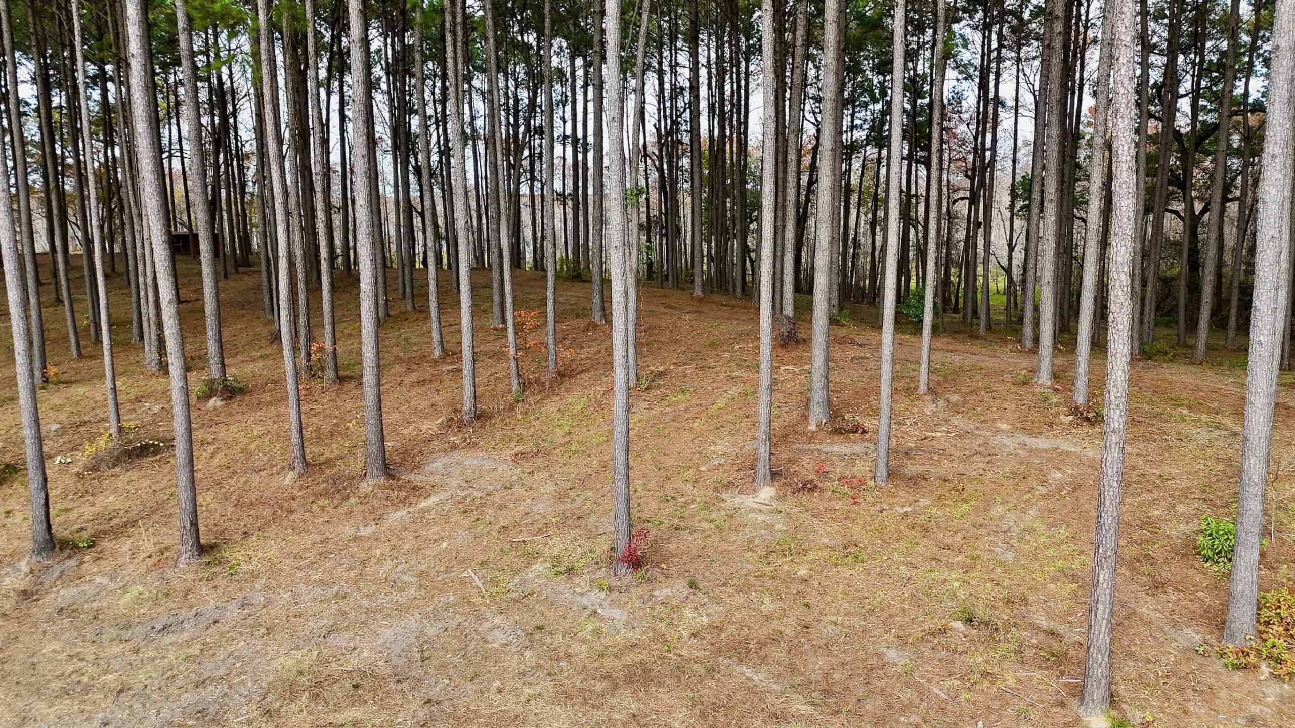 4 Bed 3 Bath House on 125 Acres for Sale In Lasalle Parish