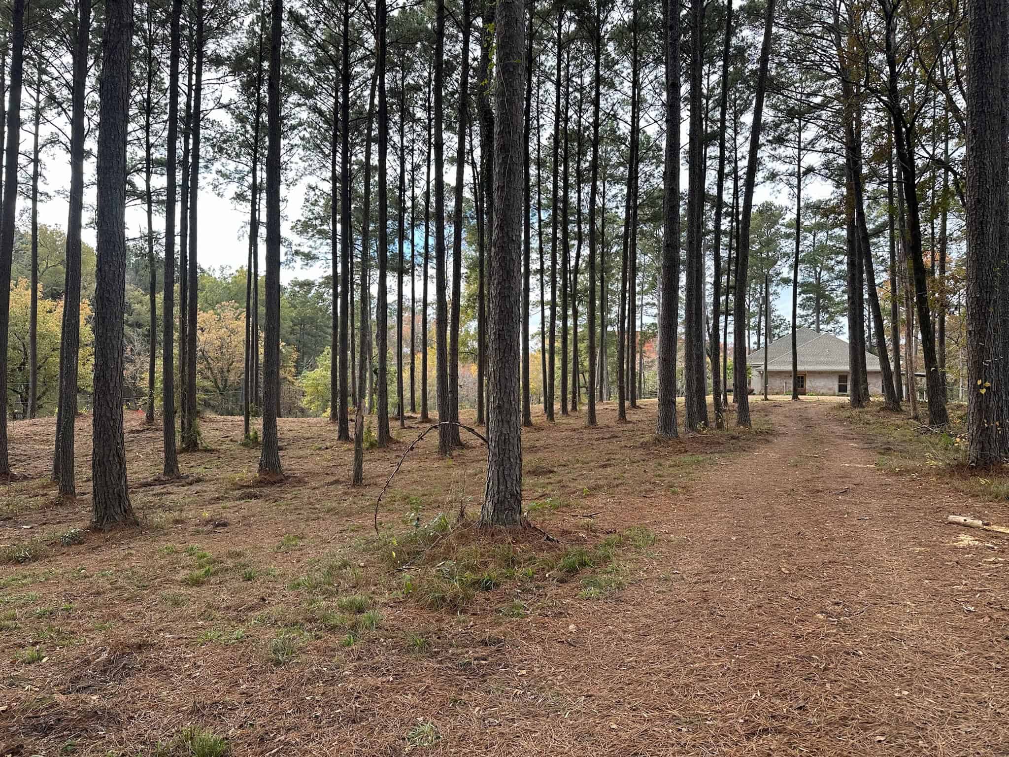 4 Bed 3 Bath Home on 45 Acres for Sale in Lasalle Parish