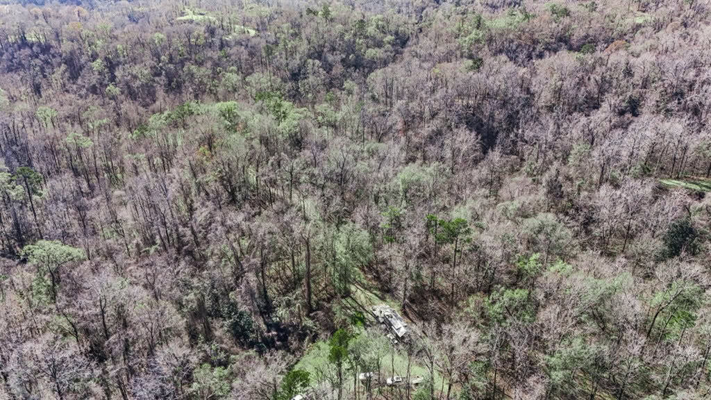 Hunting Land for Sale in The MS Delta