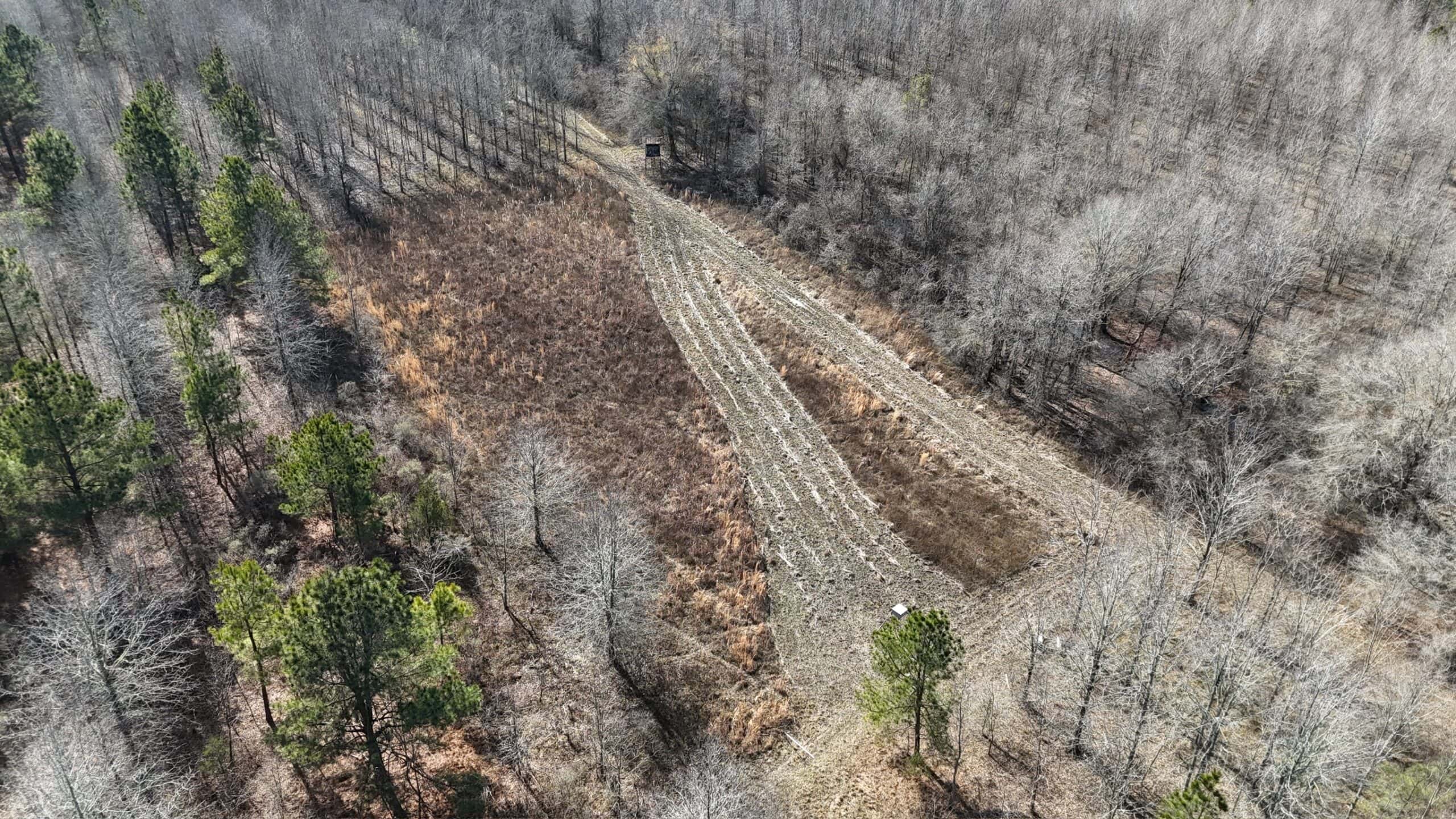 Duck and Deer Hunting Land with a Camp Spot for Sale