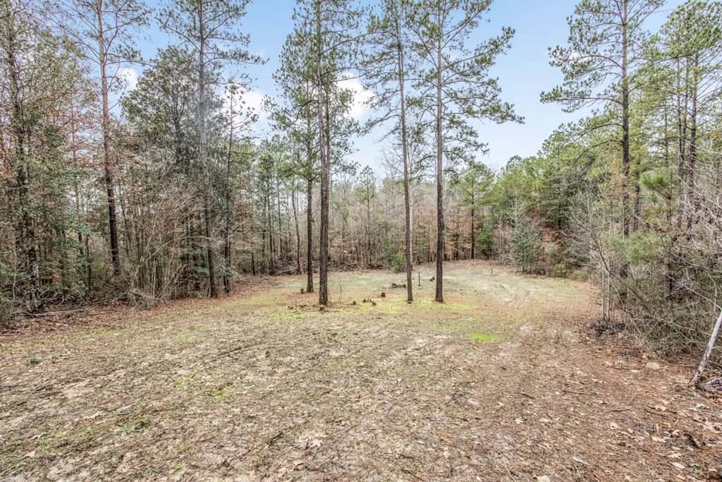 100 Acres in West Feliciana with 2 Bed/1 Bath Camp