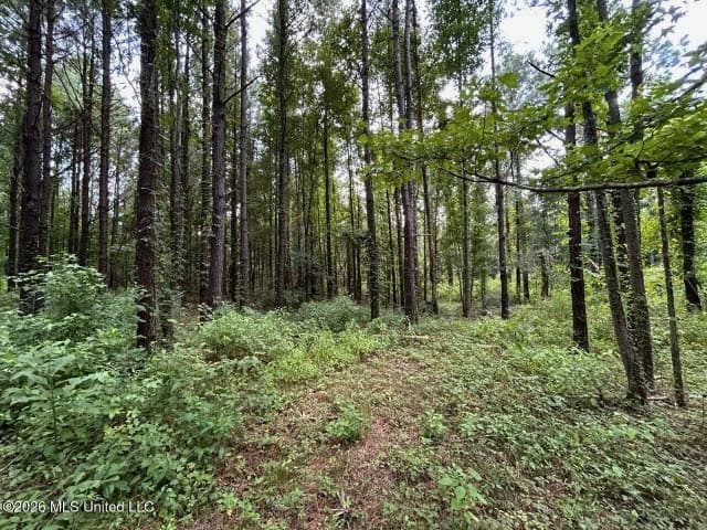 8± Acres in McCall Creek, MS with Creek Frontage