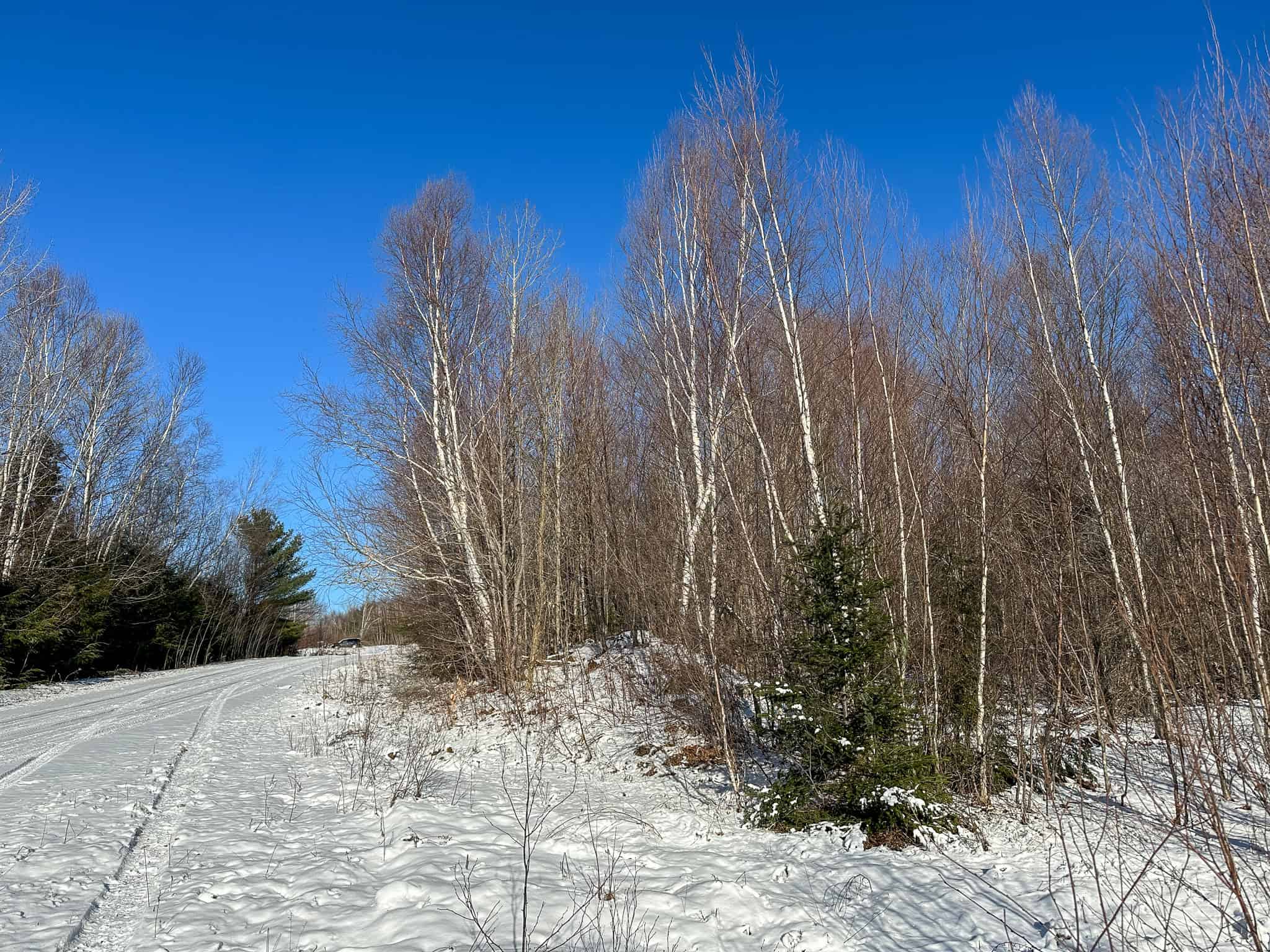 40 Acre Retreat Surrounded by The Downeast Lakes