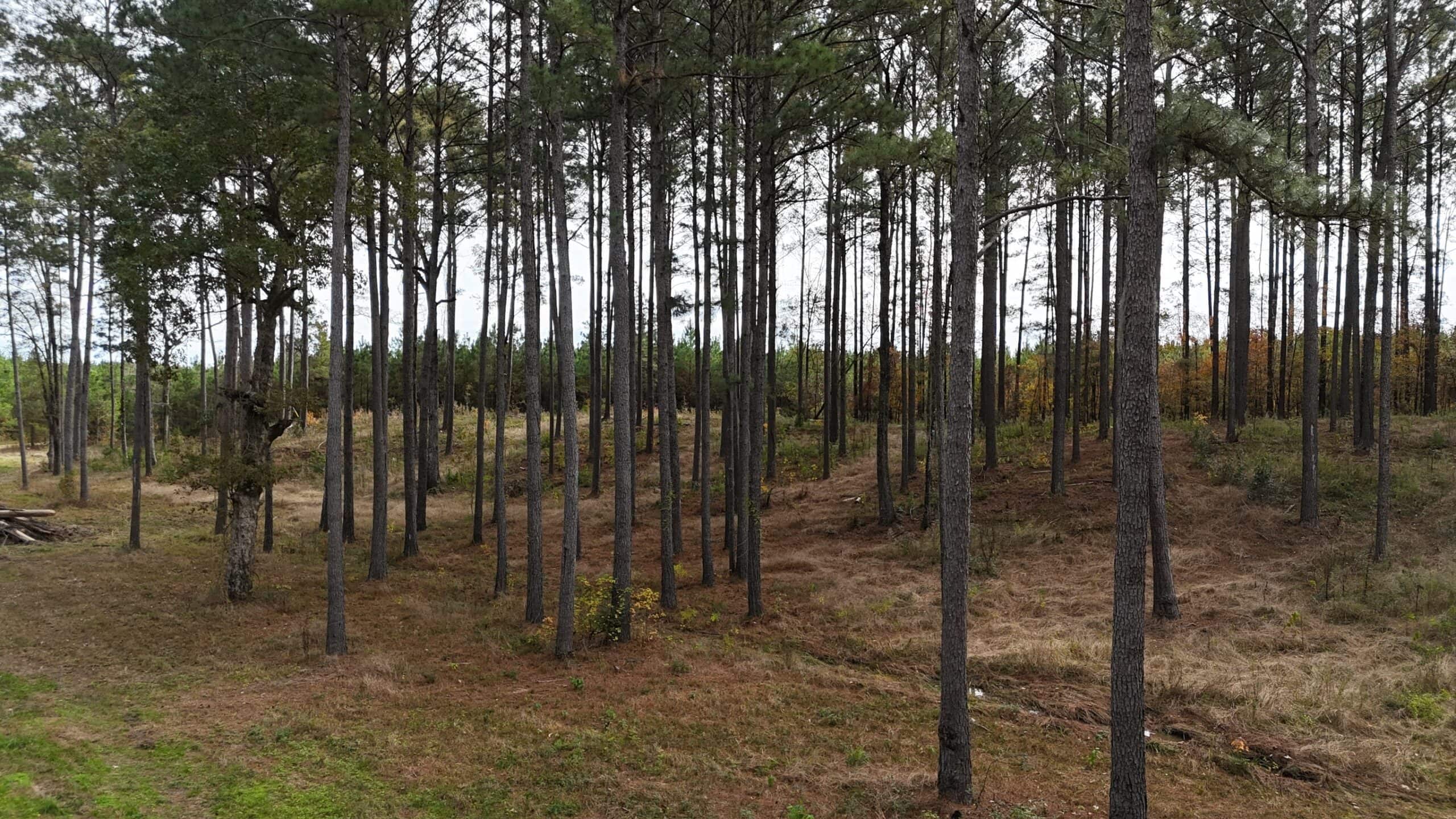 4 Bed 3 Bath Home on 45 Acres for Sale in Lasalle Parish