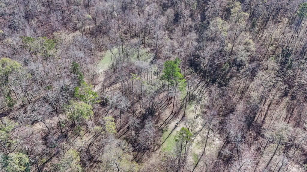 Hunting Land for Sale in The MS Delta
