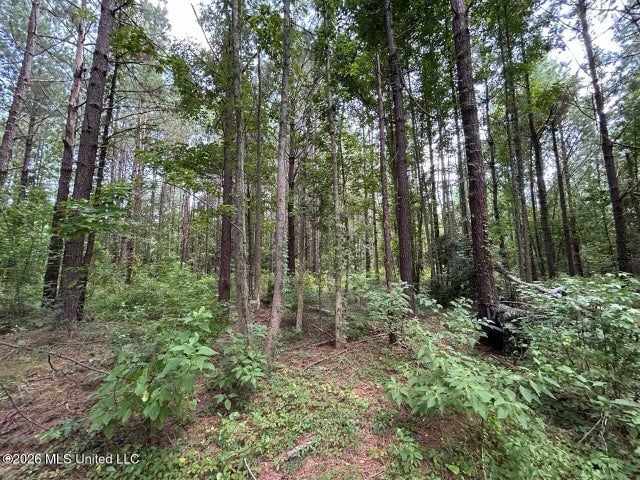 8± Acres in McCall Creek, MS with Creek Frontage