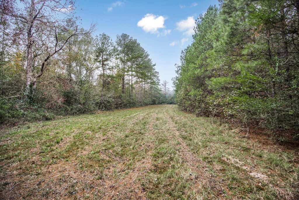 77 Acres with Camp for Sale in Simpson County, MS