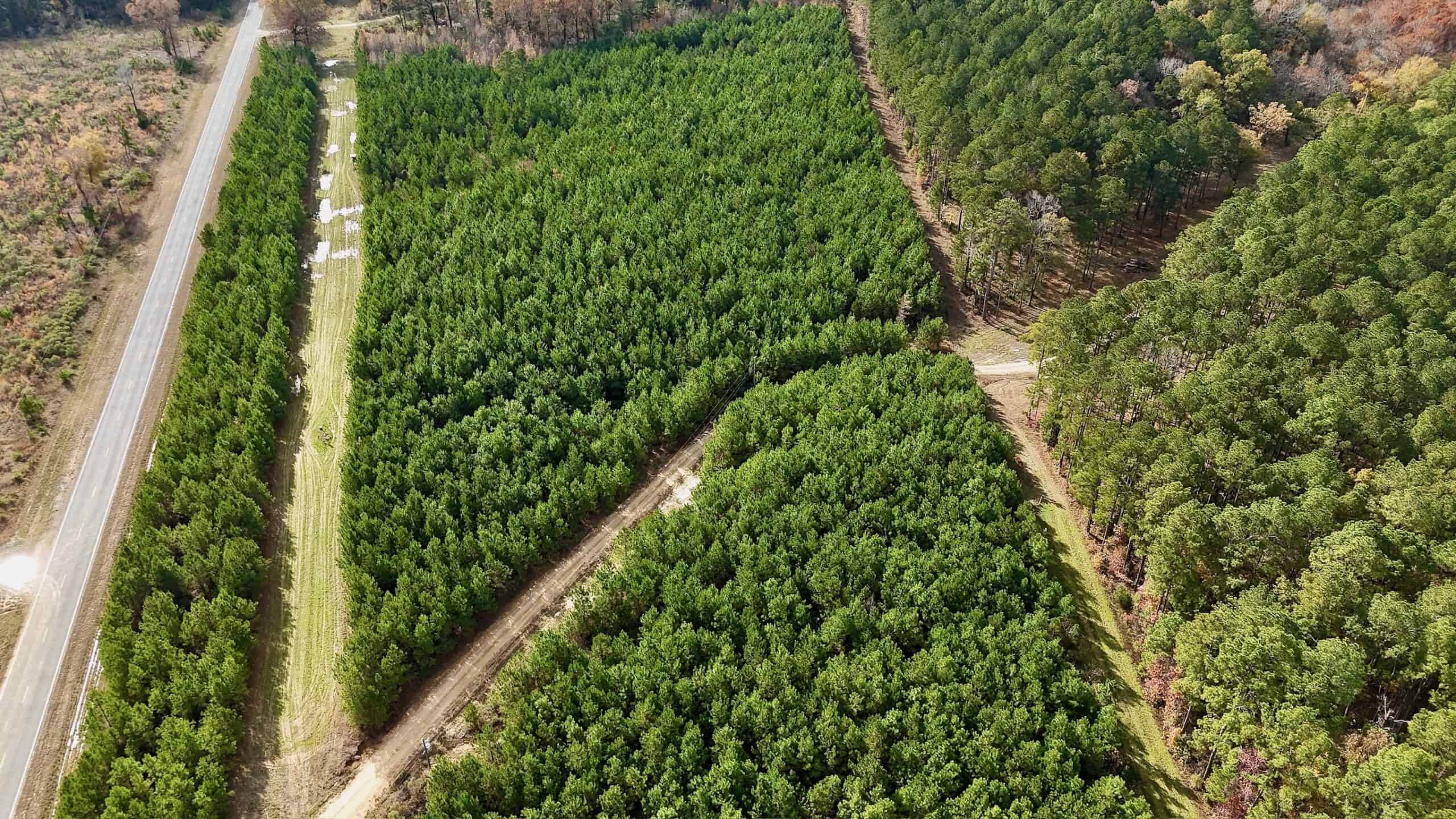 17+/- Acre Homesite and Hunting Property for Sale in Lasalle