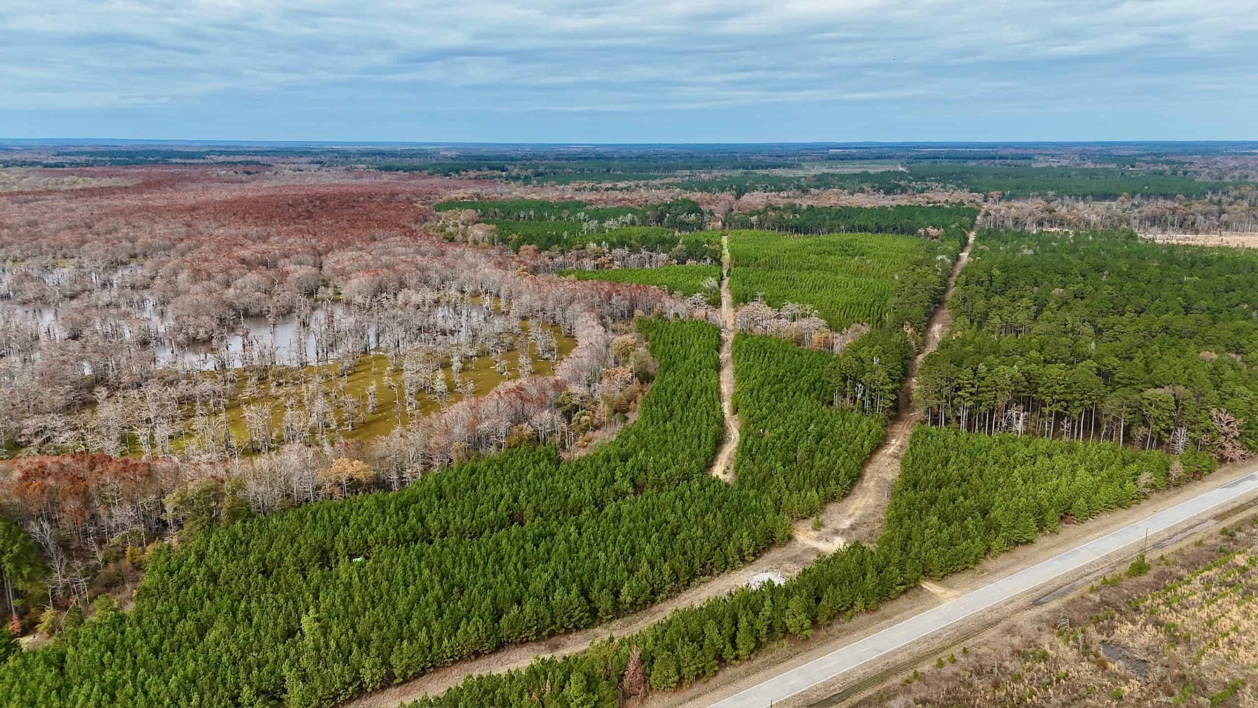 65+/- Acre Hunting Property and Homesite Near Kitterlin Bay