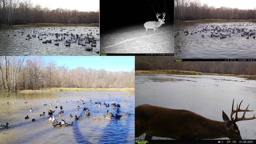 Hunting Land for Sale in The MS Delta