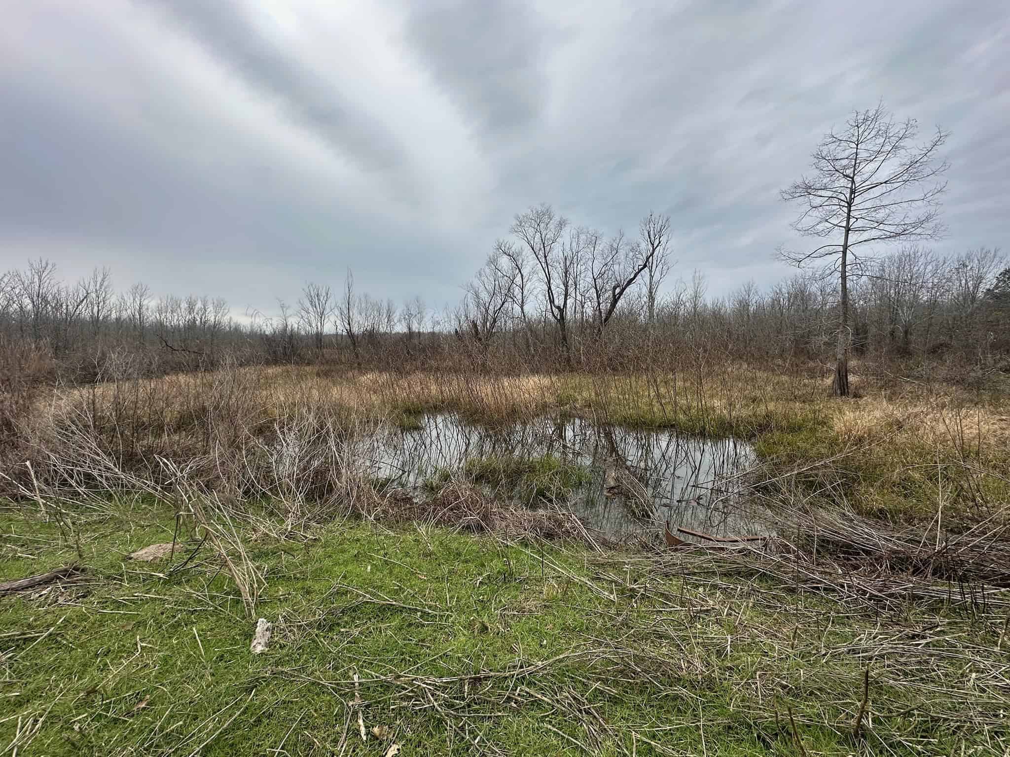 Duck and Deer Hunting Land with a Camp Spot for Sale