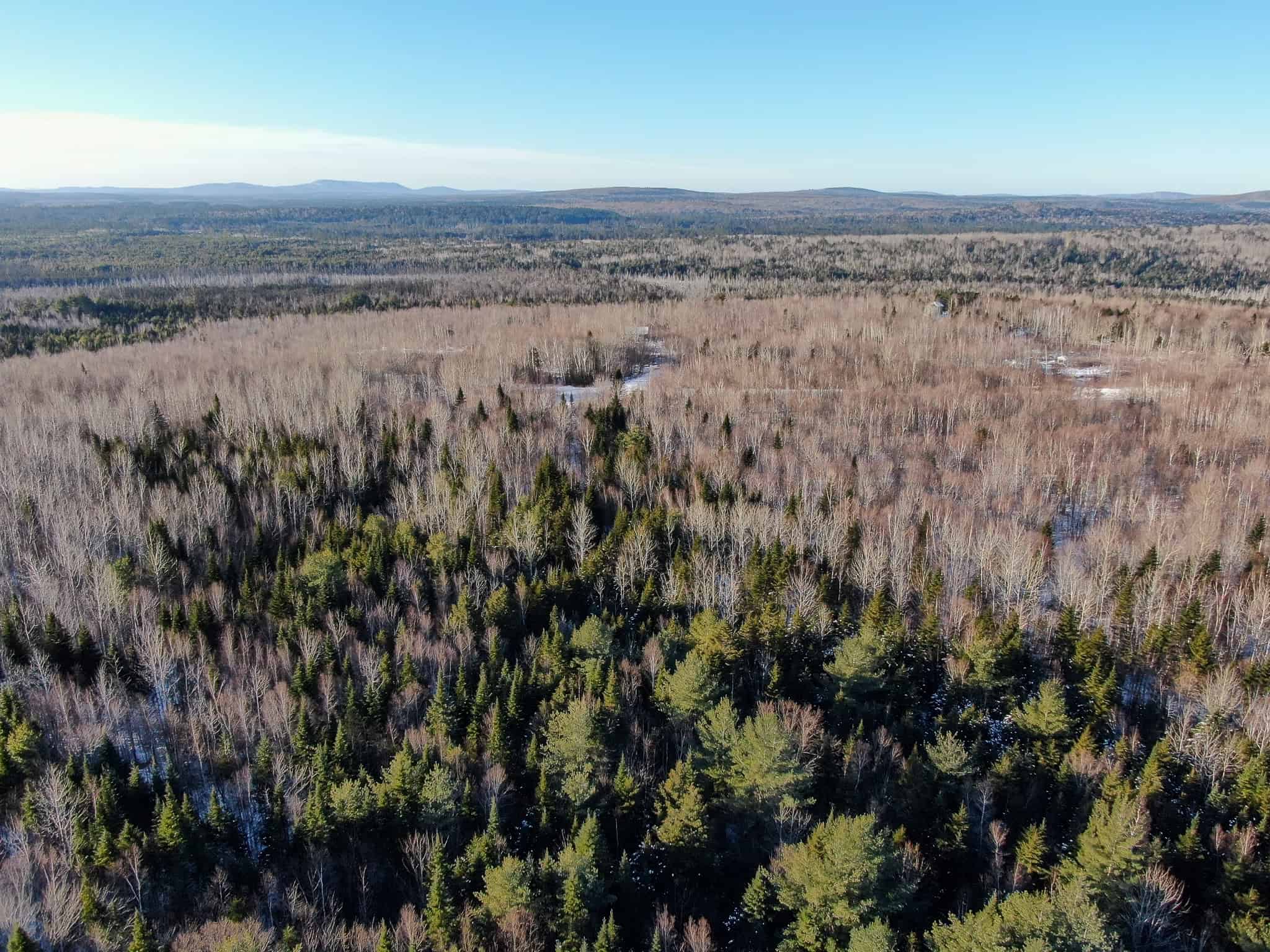 40 Acre Retreat Surrounded by The Downeast Lakes