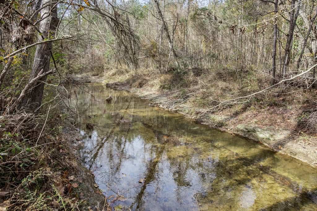 8+- Acres for Sale Just Outside of Brookhaven