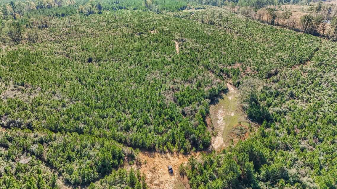 150 Acres For Sale Amite County – Will Divide