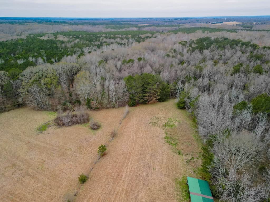 Flora Mississippi 78+- Acres for Sale