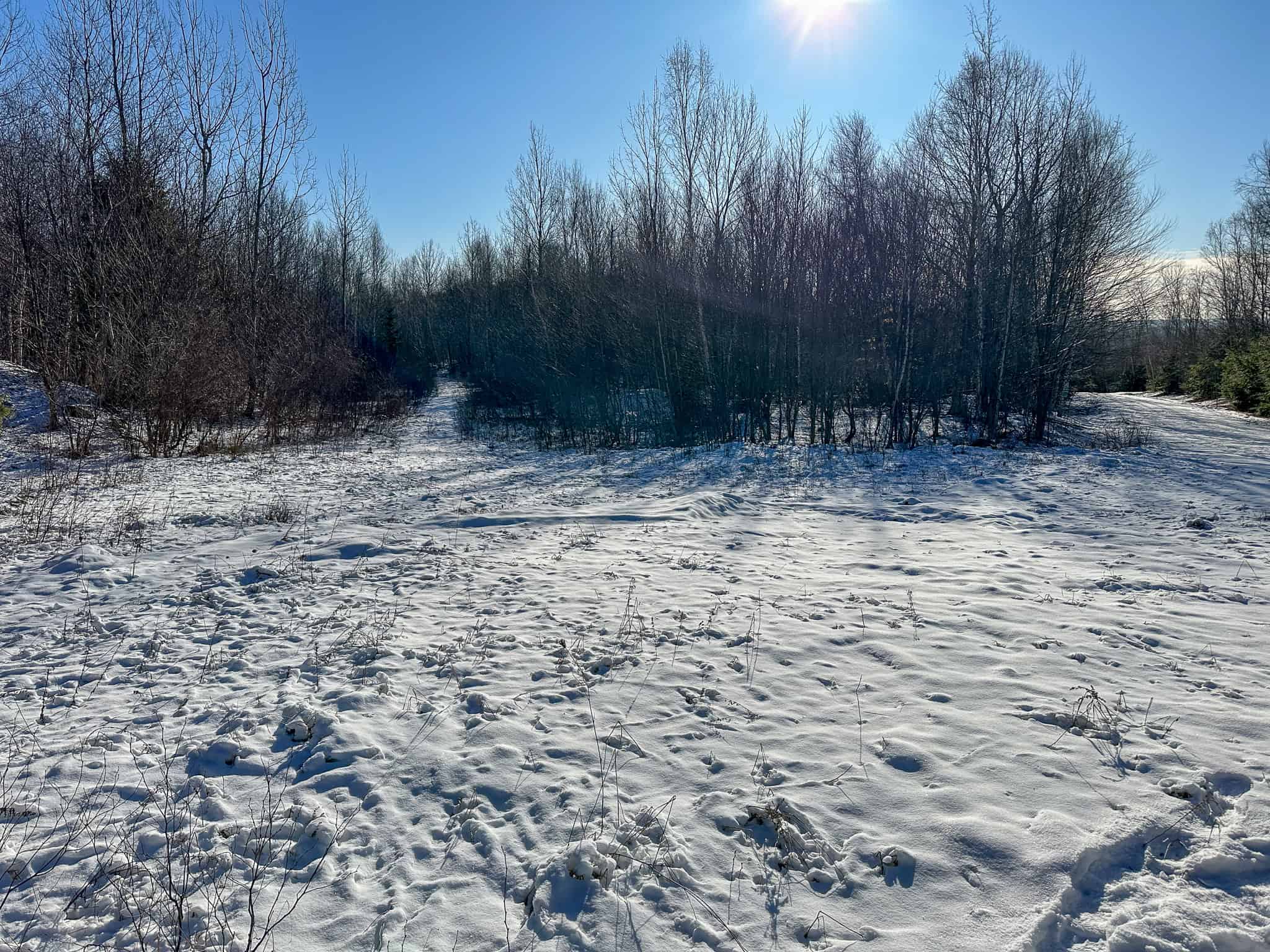 40 Acre Retreat Surrounded by The Downeast Lakes